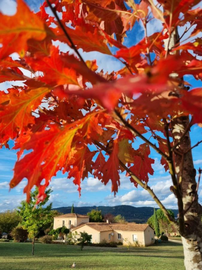 Bed and Breakfast Les Chenes Rouges Veyrines-de-Domme Экстерьер фото